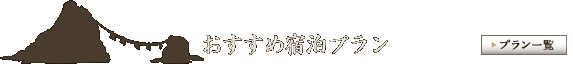 �ɐ��u���@��Ή��������߃v����