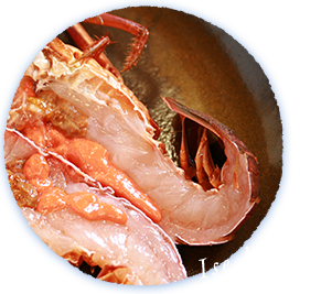 Ise lobster