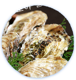 마토야 굴