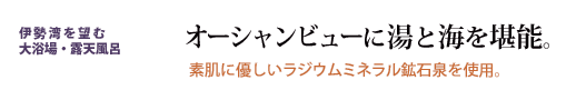 オーシャンビューに湯と海を堪能。素肌に優しいラジウムミネラル鉱石泉を使用