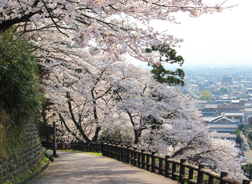 音無山公園